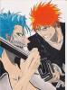 ichigogrimmjow01_t1.jpg