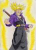 trunks1_t1.jpg